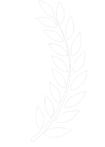 branch left