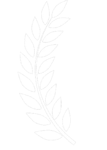 branch left